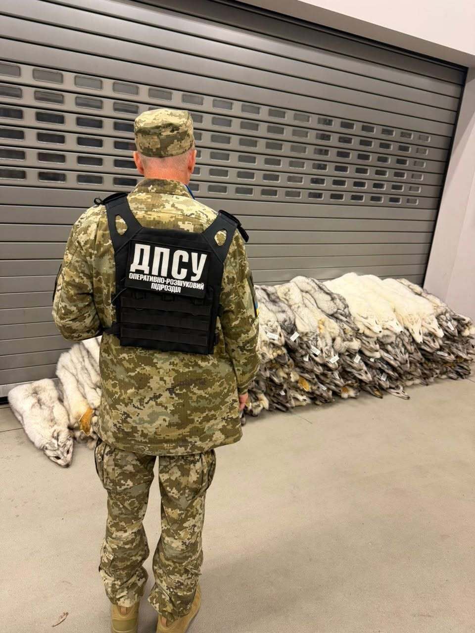 На Львівщині вилучили 120 шкурок песця на кордоні з Польщею