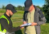 В Киеве разоблачили растрату более 1,2 млн грн на закупки саженцев для озеленения