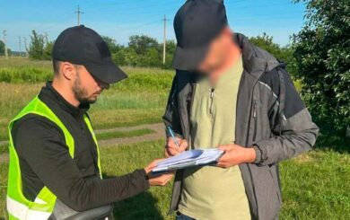 В Киеве разоблачили растрату более 1,2 млн грн на закупки саженцев для озеленения