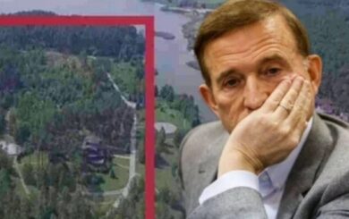 На Київщині державі повернули 10 гектарів лісу, пов’язаних зі структурами Медведчука