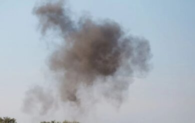 Влучання по зоопарку в Харкові: пошкоджені вольєри та є постраждалі тварини