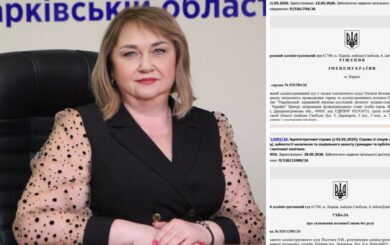 За инвалидность и недвижимость – двумя руками: налоговица Светлана Подсоха инициировала два административных дела