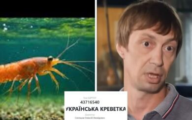 »Креветка Розенберга» или сыр в мышеловке? Как продают экзотику, стоящую горькие миллионы