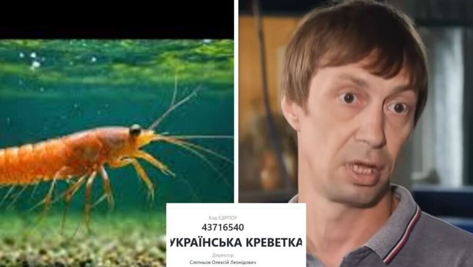 »Креветка Розенберга» или сыр в мышеловке? Как продают экзотику, стоящую горькие миллионы
