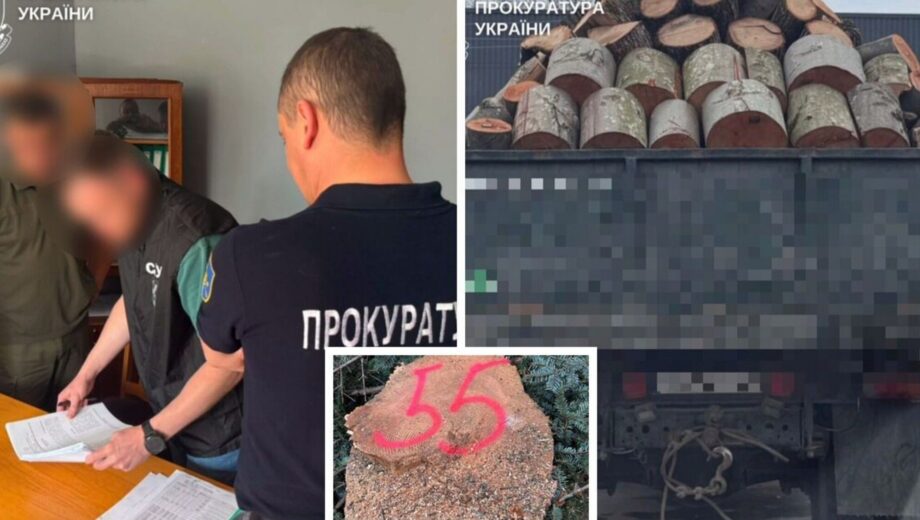 Масштабные незаконные рубки в Украине: разоблачены схемы более чем на 248 млн грн убытков