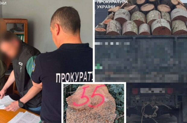 Масштабні незаконні рубки в Україні: викрито схеми на понад 248 млн грн збитків