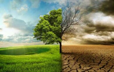 Європу накрила спека до +40°C: кліматологиня зробила попередження для України