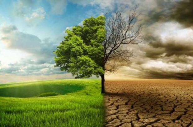 Європу накрила спека до +40°C: кліматологиня зробила попередження для України