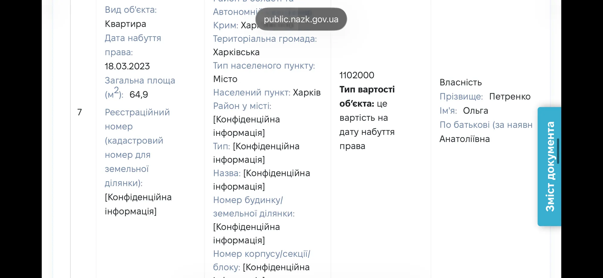 Декларація Ольги Петренко