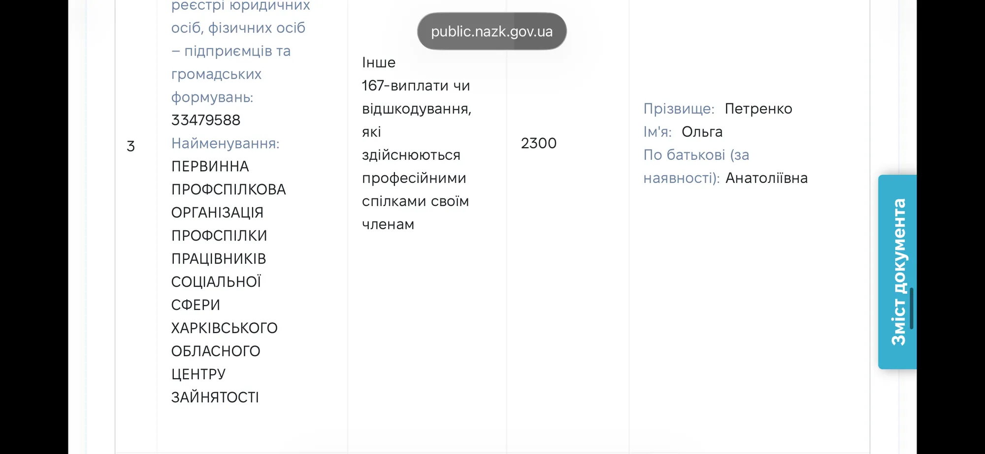 Декларація Ольги Петренко