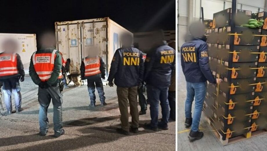 Понад пів тонни кокаїну знайшли у контейнерах із бананами в Угорщині