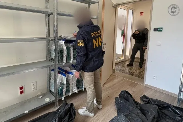 Венгрия изъяла рекордную партию кокаина, спрятанную в бананах из Эквадора