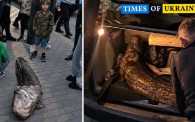 У Варшаві затримали чоловіка через вилов 1,8-метрового ”легендарного” сома з озера
