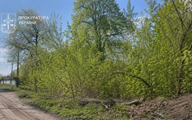 У Києві викрили схему з вигаданою нерухомістю: громаді повернули землю за 14 млн грн