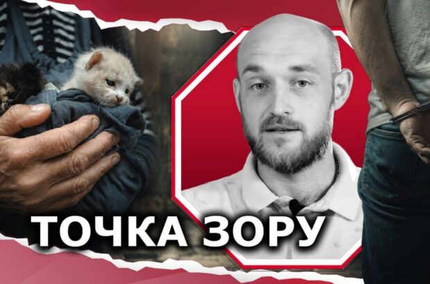 Сигнал для общества: почему принципиальная реакция полиции на издевательство над животными спасает не только котят