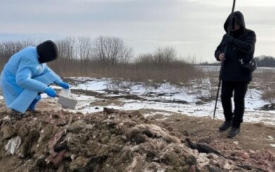 На Буковине мясоперерабатывающее предприятие превратило почти пол гектара земли в свалку биоотходов.