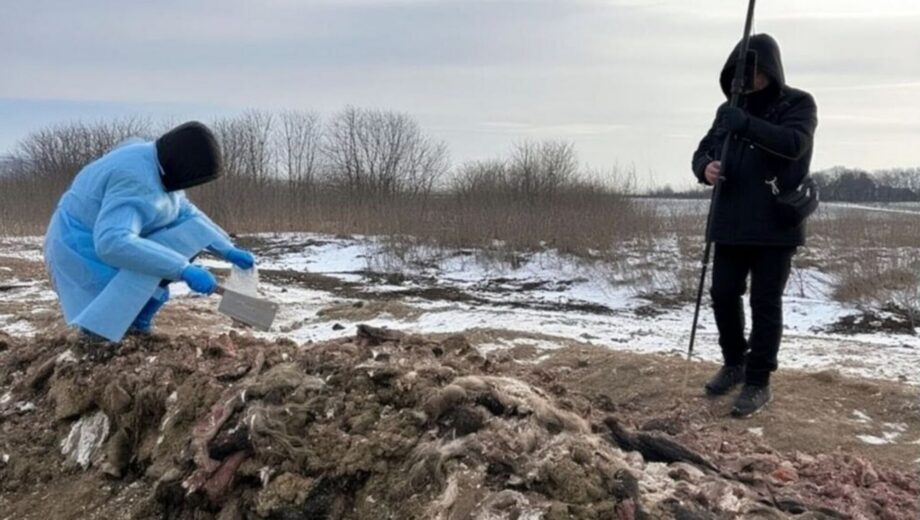 На Буковине мясоперерабатывающее предприятие превратило почти пол гектара земли в свалку биоотходов.