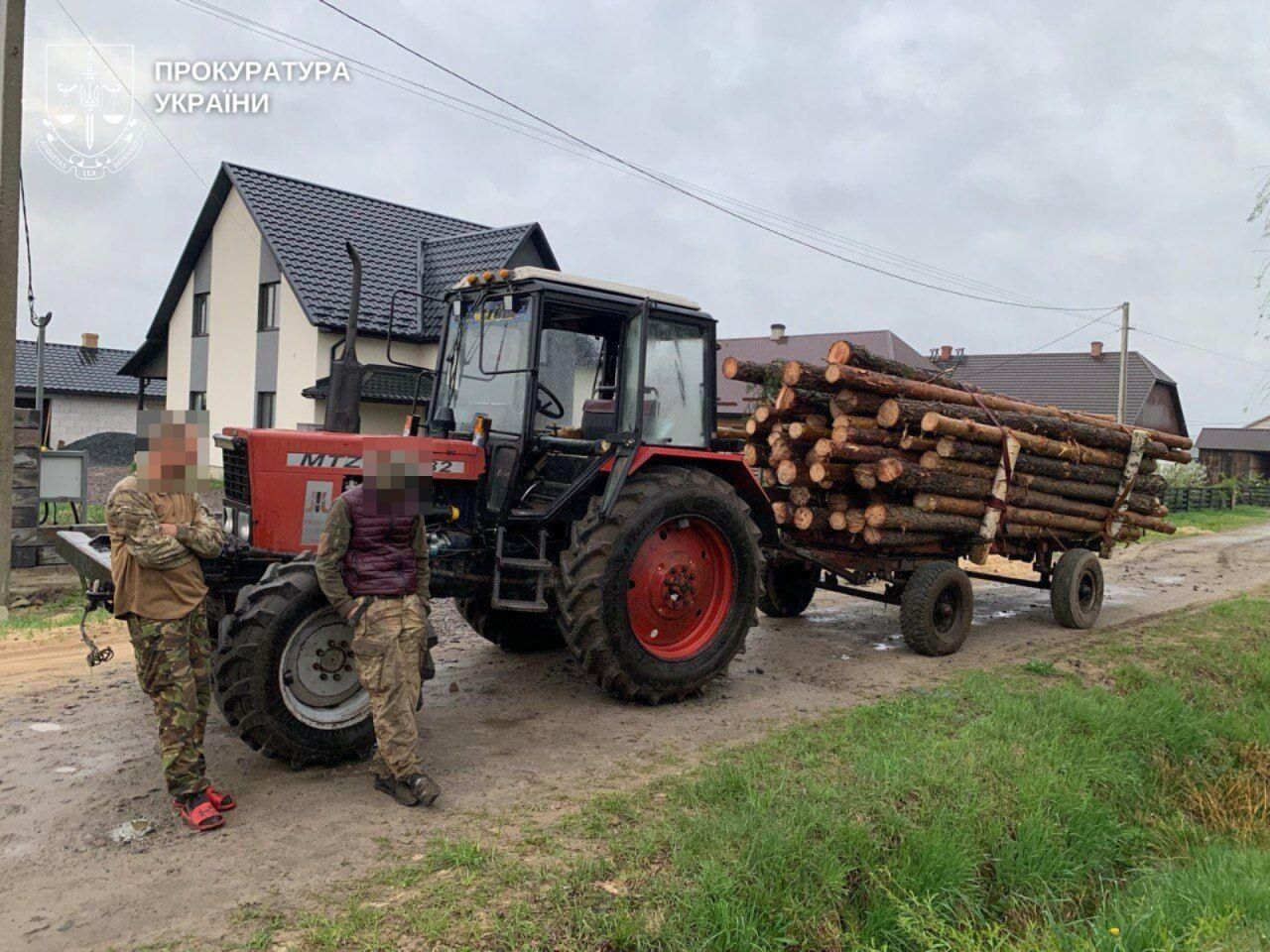Масштабні незаконні рубки в Україні: викрито схеми на понад 248 млн грн збитків