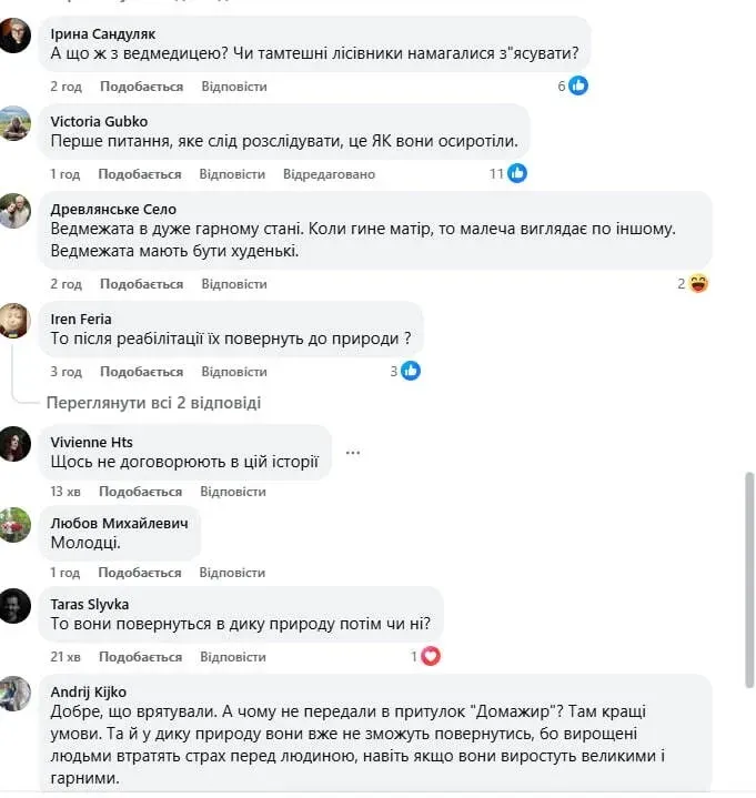 В Карпатах спасли двух медвежат, которых нашли супруги туристов