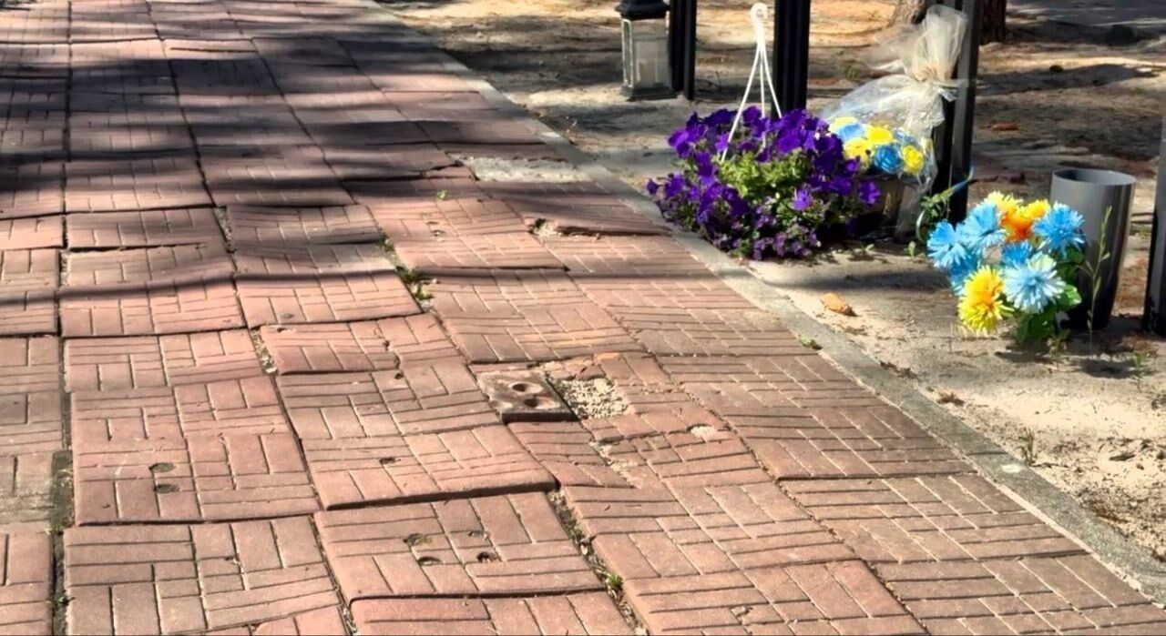 Занедбаний стан Алеї Слави у Змієві