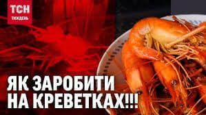 Сюжет ТСН о ООО ''Украинская креветка''