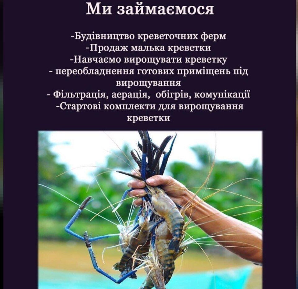 Реклама на сторінці ТОВ ''Українська креветка''