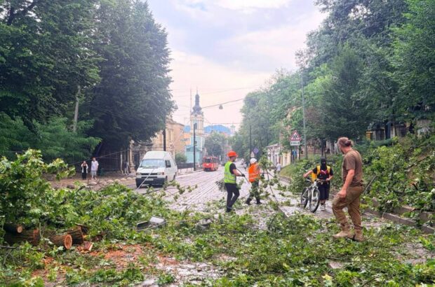 У Львові 6-річна дівчинка потрапила до реанімації після ураження блискавкою