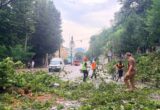 Во Львове 6-летняя девочка попала в реанимацию после поражения молнией