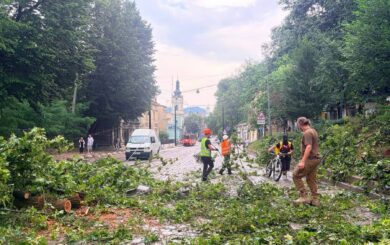 Во Львове 6-летняя девочка попала в реанимацию после поражения молнией