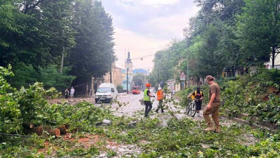Во Львове 6-летняя девочка попала в реанимацию после поражения молнией