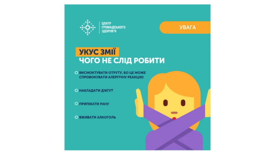 Украинцев предупреждают об опасности в лесах: что следует знать о гадюке Никольском