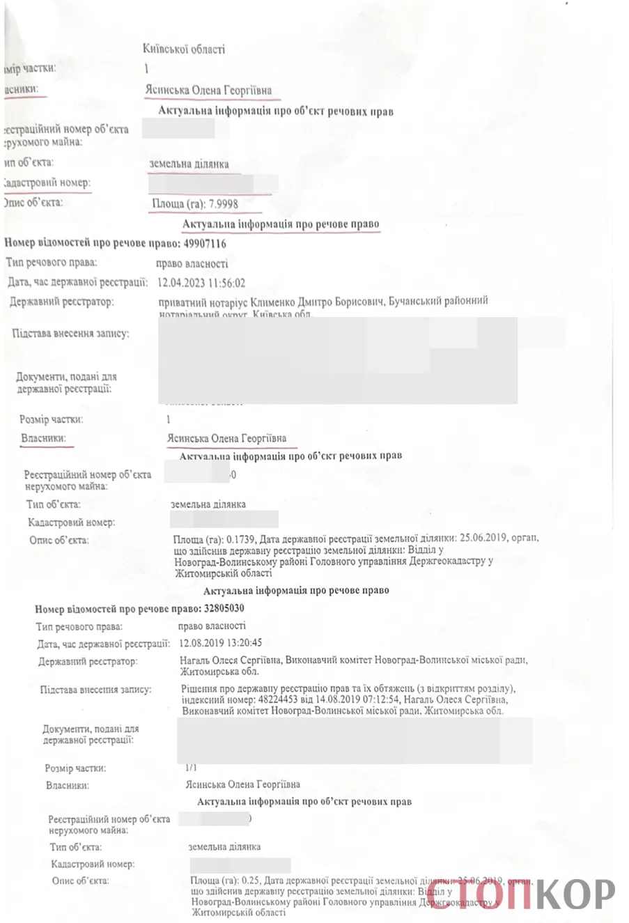  Пентхауз для ''Холостяка'' та мільйони поза декларацією? Що відомо про бізнес родини депутата Ясинського