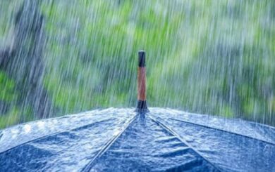 Від гроз до +35°: якою буде погода в Україні 13–19 липня