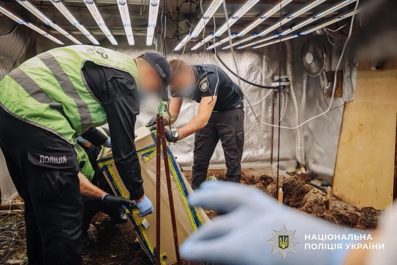 Нацполиция ликвидировала почти 30 тысяч кустов конопли и мака во время спецоперации ''Джентльмены''