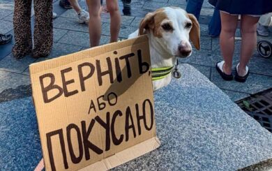 ”Будемо виходити, доки нас не почують”: у Києві та інших містах тривають протести через відставку Федорова