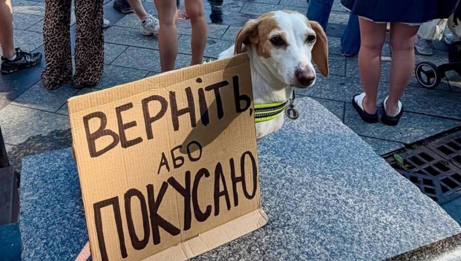 ”Будемо виходити, доки нас не почують”: у Києві та інших містах тривають протести через відставку Федорова