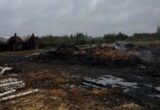 В Житомирской области разоблачили незаконное производство древесного угля: дело передали в суд