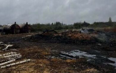 В Житомирской области разоблачили незаконное производство древесного угля: дело передали в суд