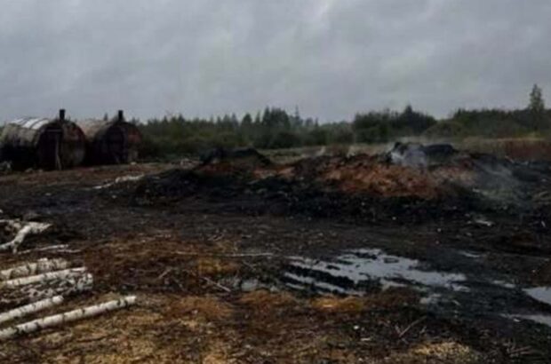 В Житомирской области разоблачили незаконное производство древесного угля: дело передали в суд