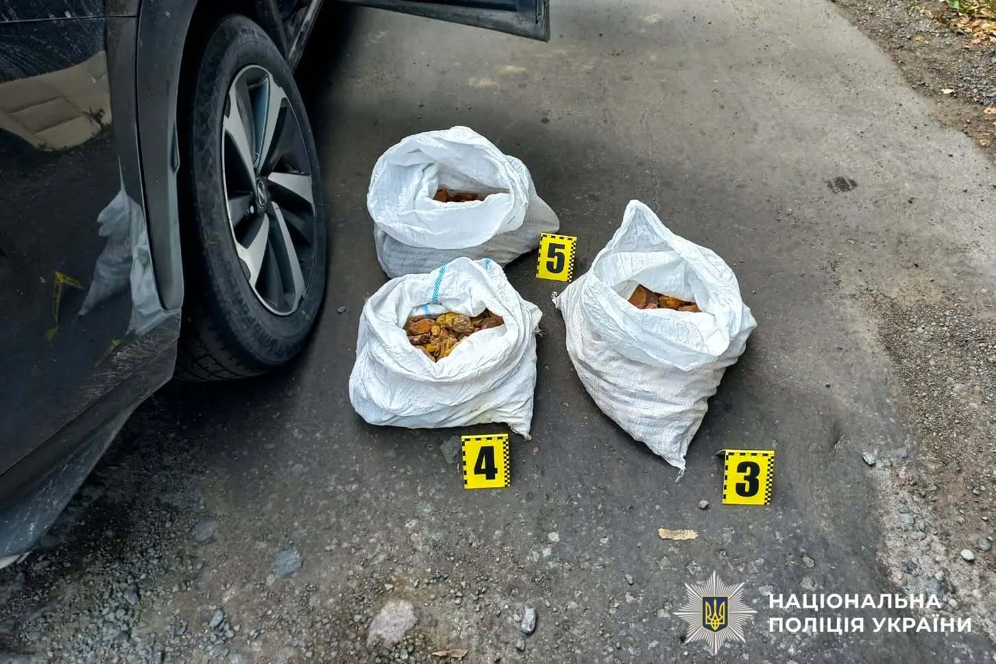 В Ровенской области на блокпоста остановили Lexus с более чем 20 килограммами янтаря