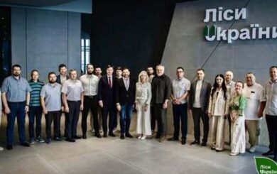 Лесную отрасль призывают передать обновленному Минагрополитики: названы ключевые аргументы