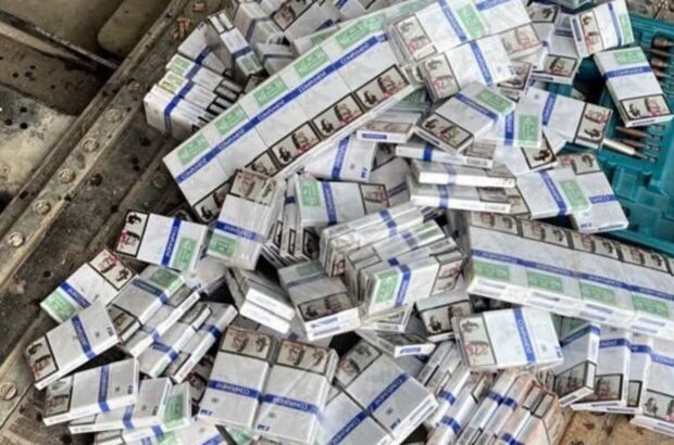 Тайные тайники в DAF и грузовом вагоне: на границе изъяли сигареты