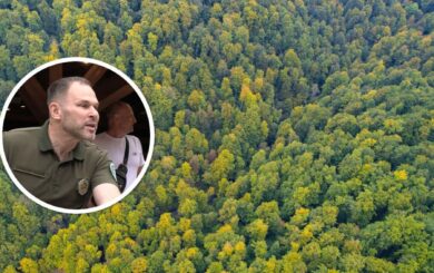 Карпатський нацпарк: чорні лісоруби завдали збитків майже на 5,8 мільйона гривень