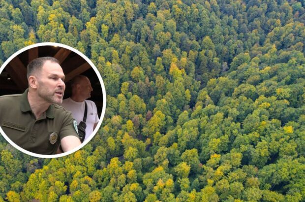 Карпатський нацпарк: чорні лісоруби завдали збитків майже на 5,8 мільйона гривень