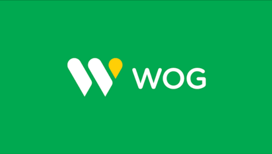 Воздушная тревога на АЗС: что нужно знать водителям и почему WOG изменила правила работы в семи регионах Украины