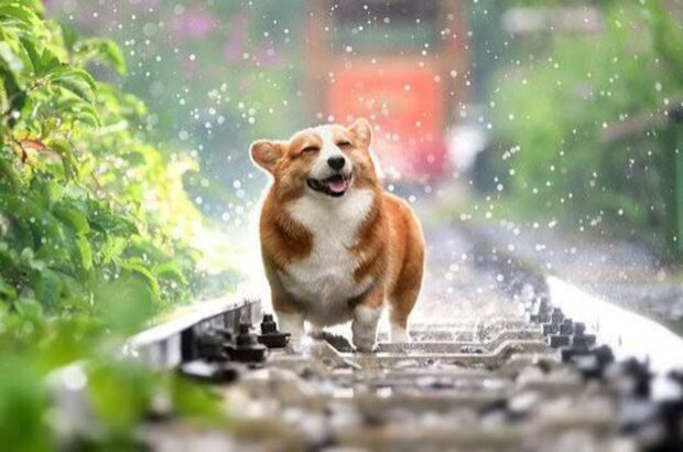 Дощі майже пройшли: якою буде погода в Україні сьогодні