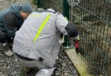 В Киеве разоблачили схему на ремонте объекта »Укрэнерго»: убытки достигли 600 тысяч гривен