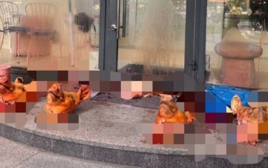 У центрі Києва невідомі підкинули туші свиней до салону краси: поліція відкрила справу