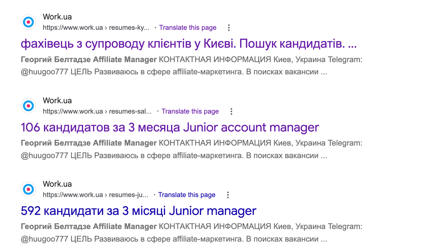 Георгий Белтадзе искал работу Affiliate Manager / Junior Account Manager через Work.Ua