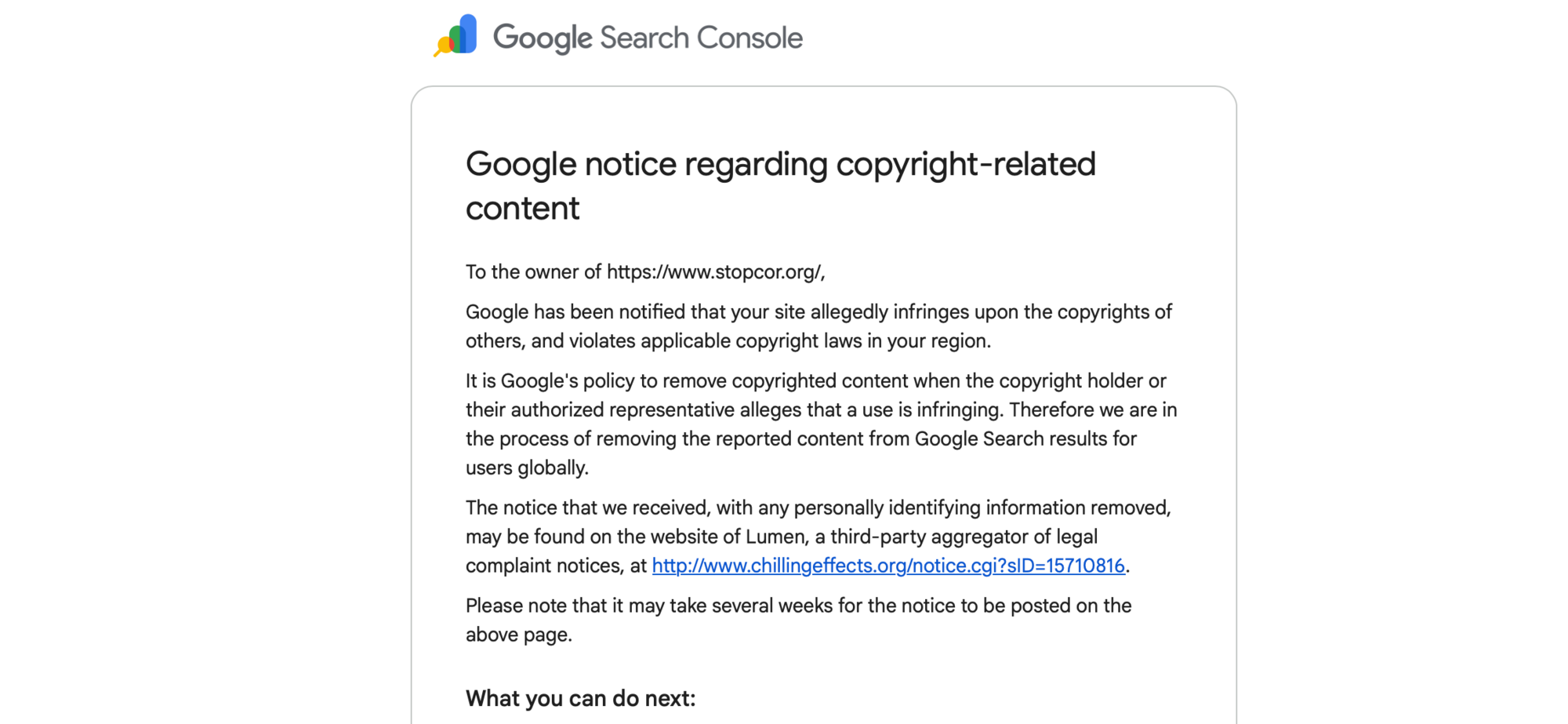 Інформаційна атака на ''СтопКор'' триває: до Google надійшла нова хвиля скарг на матеріали, більшість із яких стосується Юрія Голика